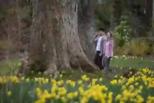 Gardens Reawakened Montalto Estate Ballynahinch Co Down Embrace a Giant Spiritwebsize2500x1200px