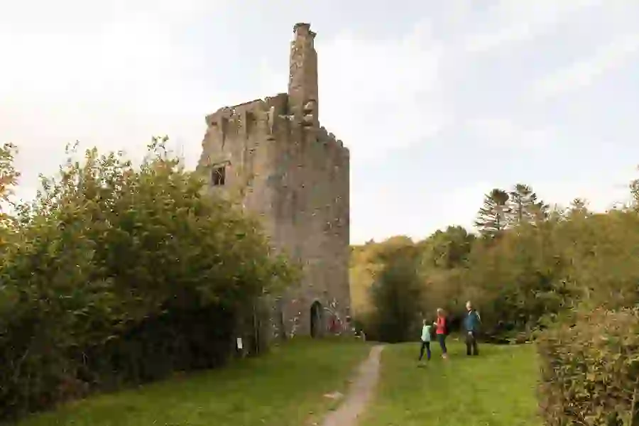 Dromore Wood Ennis Co Clarewebsize