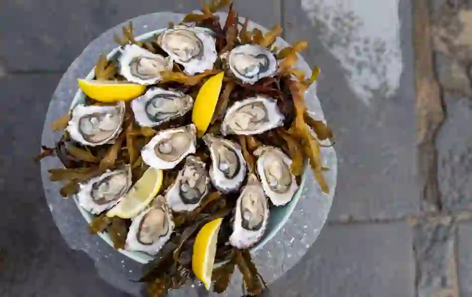 foodiedestinations-oysters