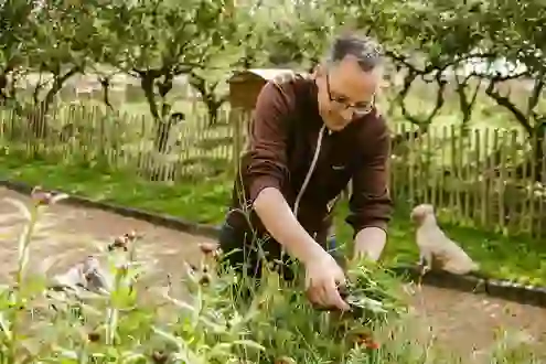 restaurants-kitchen-gardens-killruddery-wicklow-chef