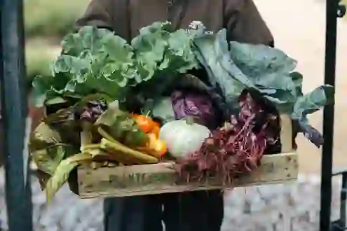 restaurants-kitchen-gardens-ballynahinch-galway-produce