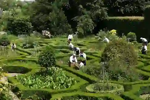 restaurants-kitchen-gardens-ballymaloe-herb-garden-cork