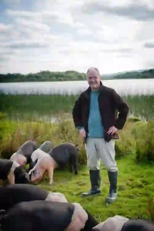enniskillen-odohertypigs