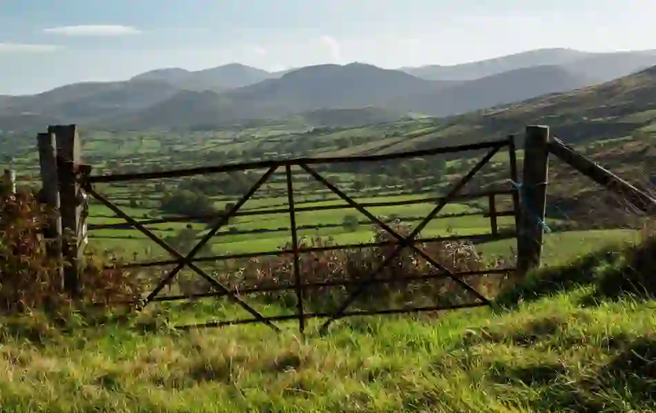 literaryireland-mournemountains