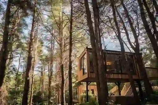 Burrenmore Nest Treetop Lodges Limavady Co Londonderrywebsize