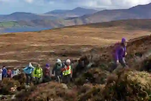 Group of hikers in outdoor gear on a heather-covered slope in the MacGillycuddy’s Reeks in Kerry.