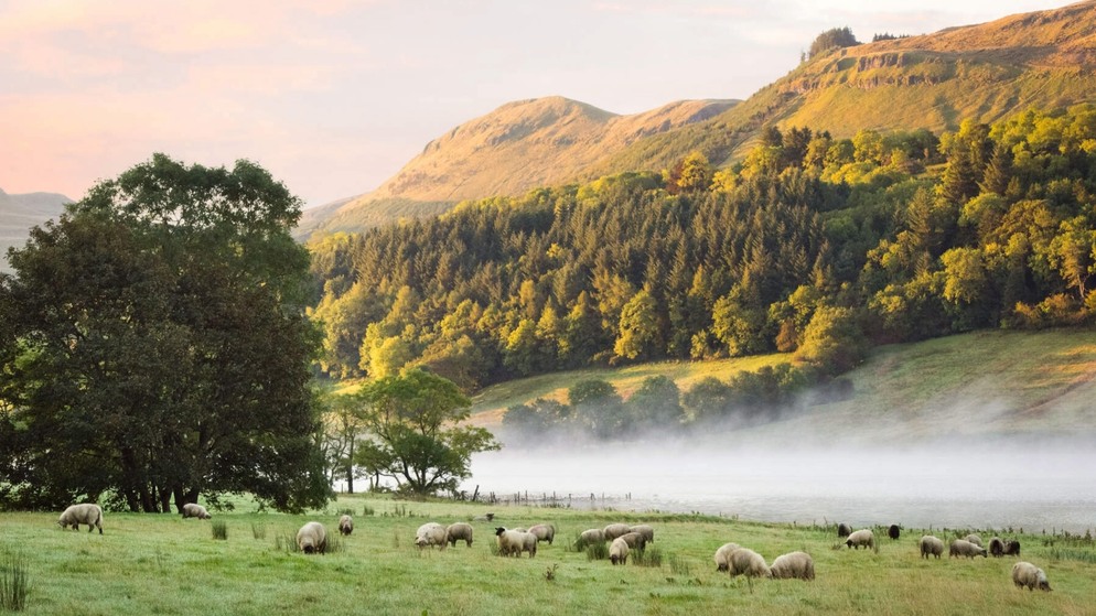 Sunlit hillside and forest landscape in Ireland’s Hidden Heartlands, with headline overlay.