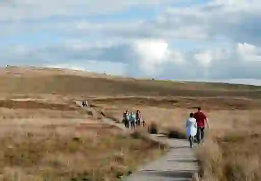Walkers on the boardwalk trail across open moorland at Divis and Black Mountain.