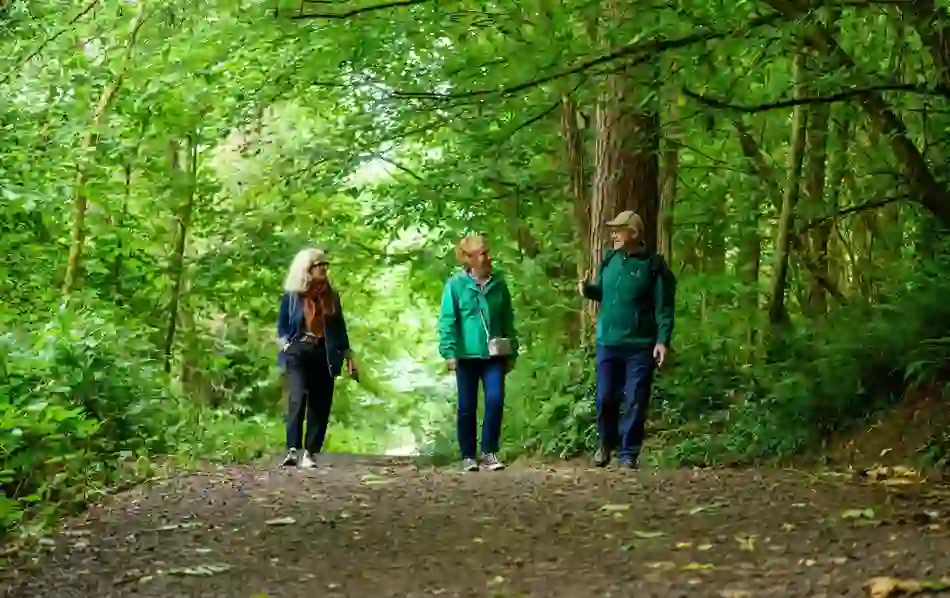 Three walkers chatting together along a wooded trail in Cave Hill Country Park.