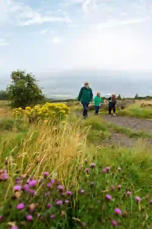 Group of walkers on Cave Hill trail in Belfast, surrounded by wildflowers and misty views.