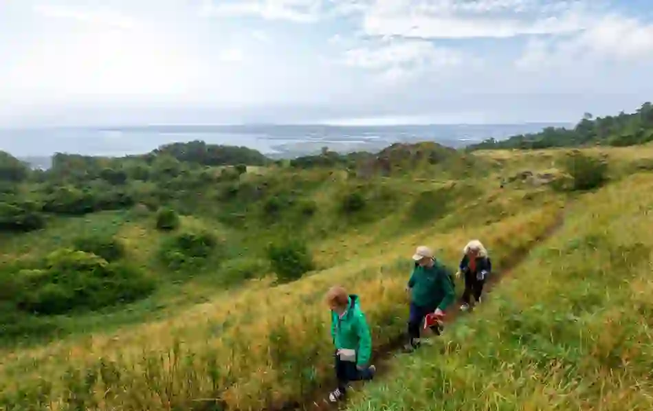 Three walkers hiking up Cave Hill with views over Belfast Lough and the coastline.