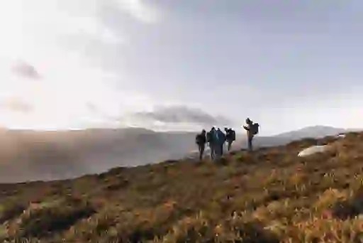Group of hikers on a misty autumn morning in the Wicklow Mountains National Park.