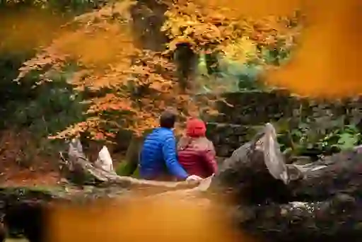 Couple in bright jackets admiring autumn foliage in Kilbroney Forest Park, County Down.