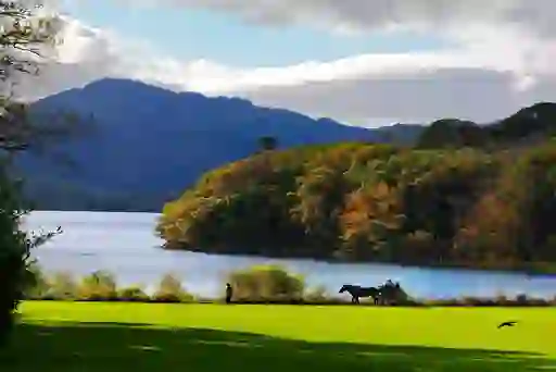 Horse-drawn carriage by the lake in Killarney National Park with autumn trees and mountains.