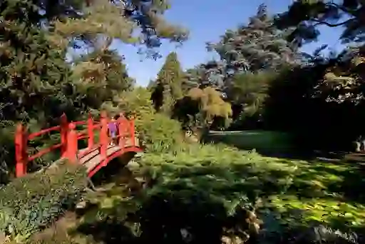 Bright red bridge crosses a stream in a landscaped Japanese Garden at the Irish National Stud in County Kildare.