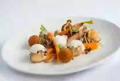 Fine dining dish with pork, croquettes, carrots and mushrooms, artfully plated at Lemon Tree, Donegal.