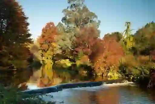 Autumn foliage reflected in a calm river at Mount Usher Gardens in County Wicklow.