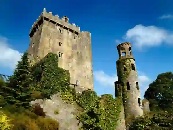 Ivy-clad stone walls of Blarney Castle and tower rise against a bright blue sky in County Cork.