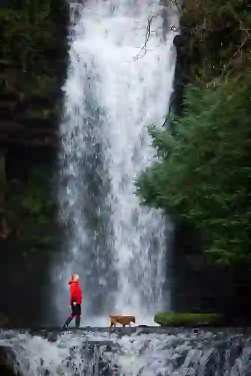 Woman walking her dog in front of Glencar Waterfall in County Leitrim, Ireland.