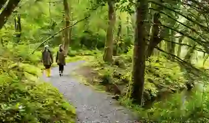 Two people in raincoats stroll a forest path beside a clear, winding stream at Ballynahinch Castle Hotel, County Galway.