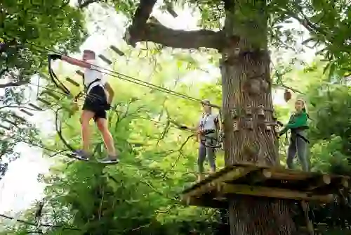 shannon-cruise-trip-zipit-forest-adventures-lough-key-roscommong