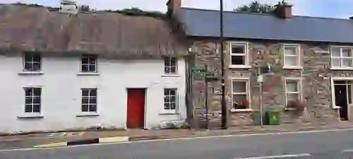 shannon-cruise-trip-drumod-village-leitrim