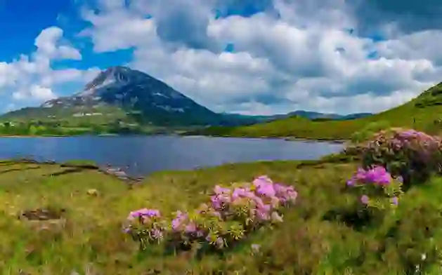 Errigal view_Co Donegal_collage