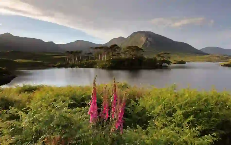 explorefromwestport-connemara