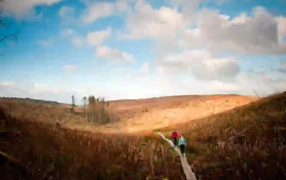 legend-of-irelands-ancient-east-cavan-burren-park-county-cavan-header-v1