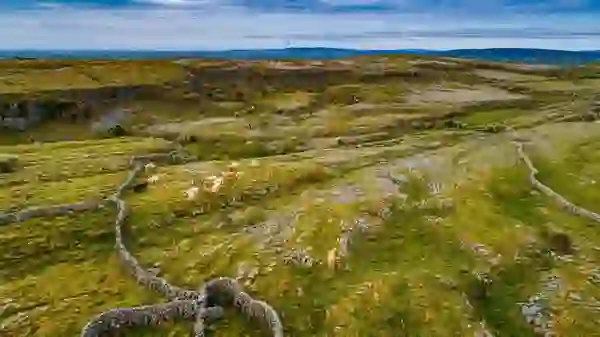 Stone walls divide grazing fields across the limestone landscape of the Burren, County Clare.