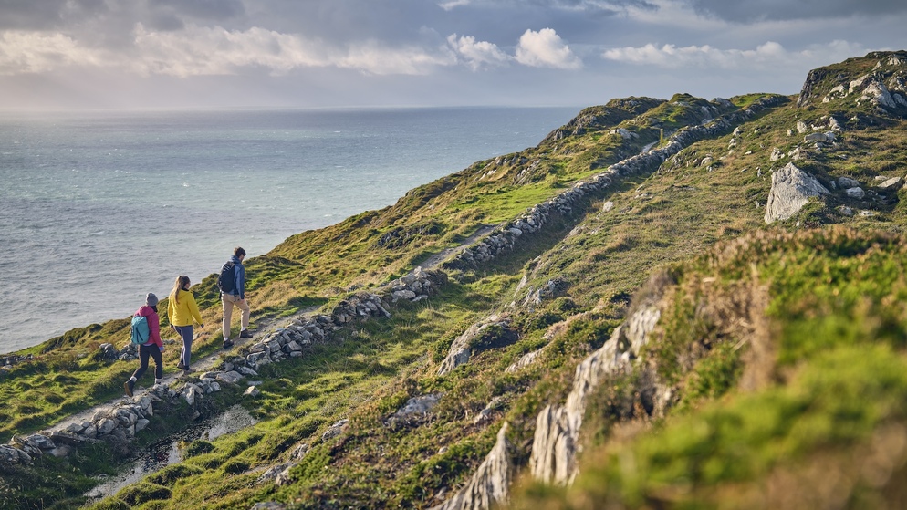 sheeps-head-way-bg-desk