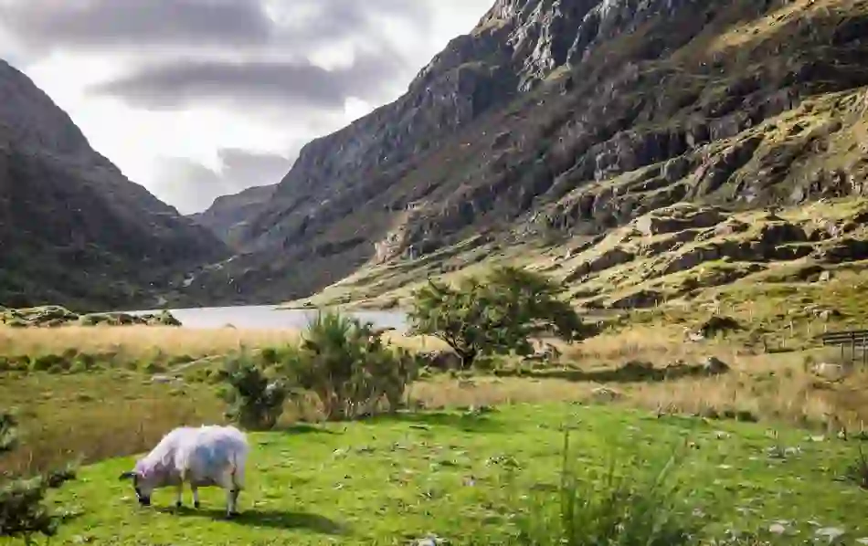 2weekcaravantrip-killarney-day5