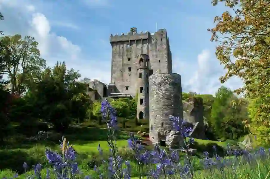 Stone towers of Blarney Castle, County Cork, surrounded by lush trees and summer flowers.