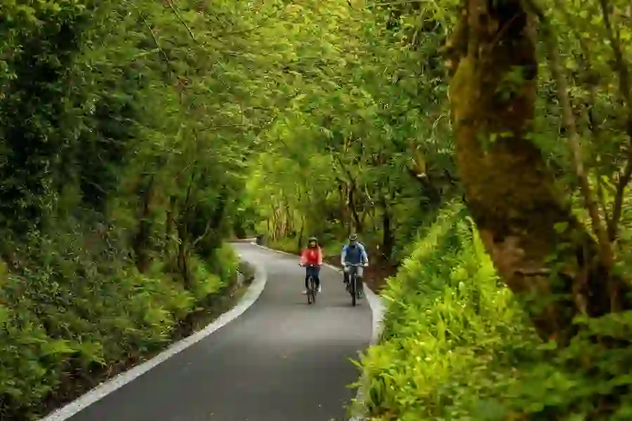 Two cyclists ride through a leafy green tunnel of trees on the Limerick Greenway.