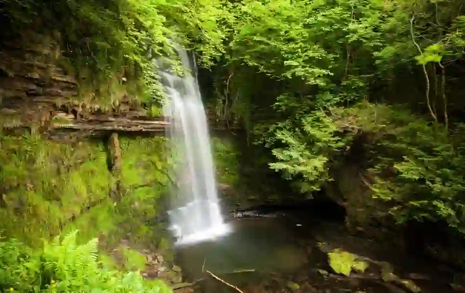 Glencar Waterfall in County Leitrim cascading down mossy rock into a shaded pool, surrounded by dense green forest.
