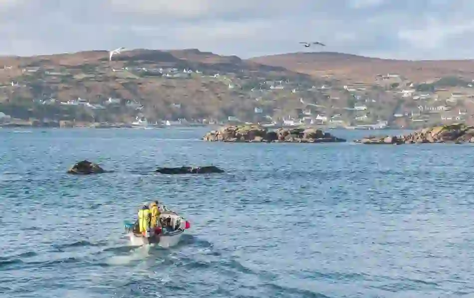 Burtonport Harbour, County Sligo