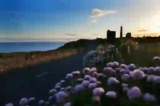 spring-images-insetcms1
