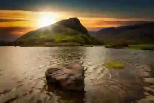 spring-images-insetcms5
