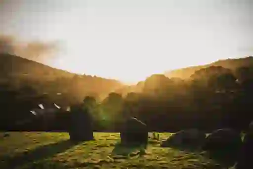 Low stone circle on grassy land at sunset in County Wicklow, with silhouettes of trees and hills in the background.