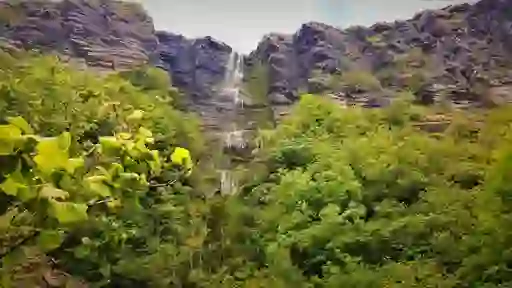The Devil's Chimney cascades down a rugged cliff surrounded by lush trees and greenery in County Leitrim.