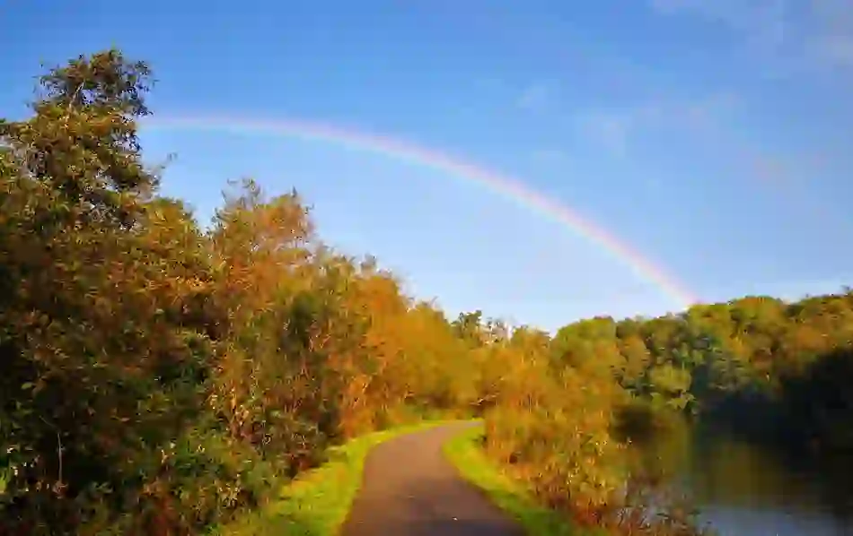 A rainbow arcs above a quiet towpath beside the River Lagan in Belfast, lined with autumn trees under a clear blue sky.