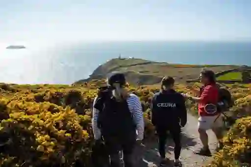 Group hiking a trail in Howth with yellow gorse and sea views of Dublin Bay.