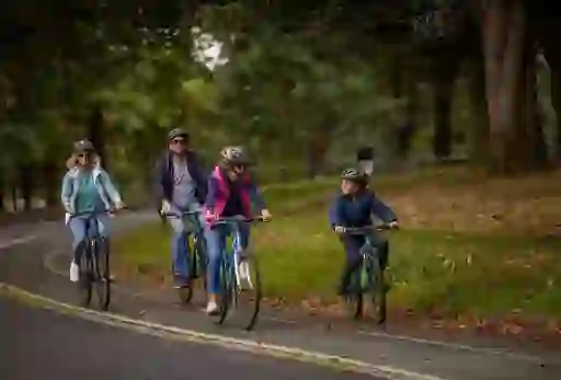 Family of four cycling together on a leafy path in the Phoenix Park, Dublin.