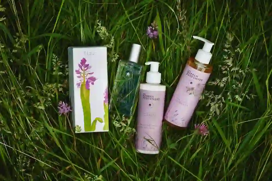 Selection of Burren Perfumery Ilaun skincare and fragrance products displayed in grass with wildflowers.