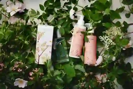 Burren Perfumery Frond gift set with lotion, soap and fragrance nestled among pink blossoms and green foliage.