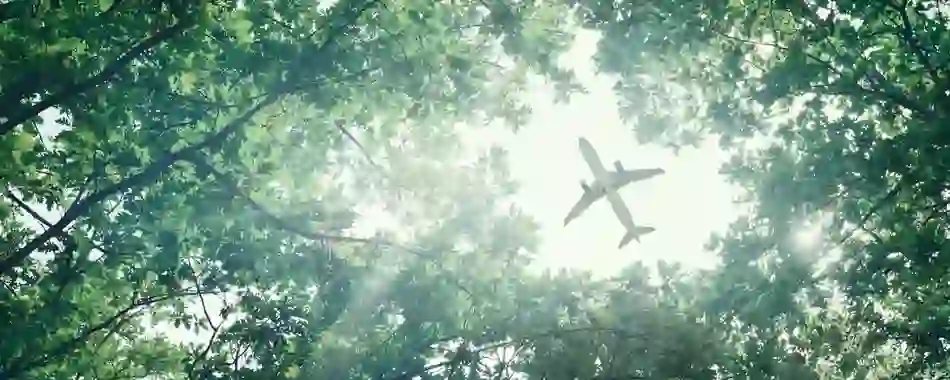sustainable-travel-plane-trees-shutterstock