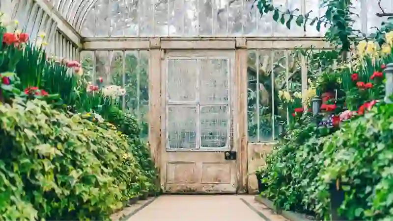 Walkway inside a historic glasshouse, bordered by colourful spring flowers and lush greenery in bloom at Botanic Gardens, Belfast.