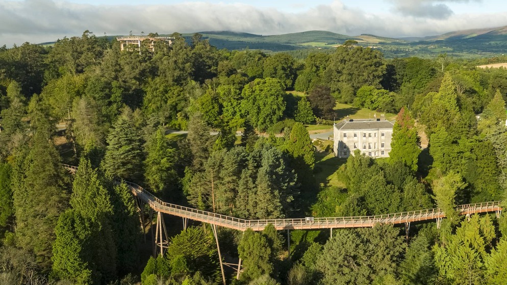 beyond-the-trees-avondale-wicklow-aerial-house-walkway-bg