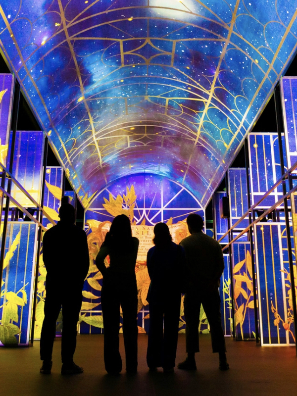 Silhouetted visitors inside the Book of Kells Experience, surrounded by colourful illuminated botanical projections.