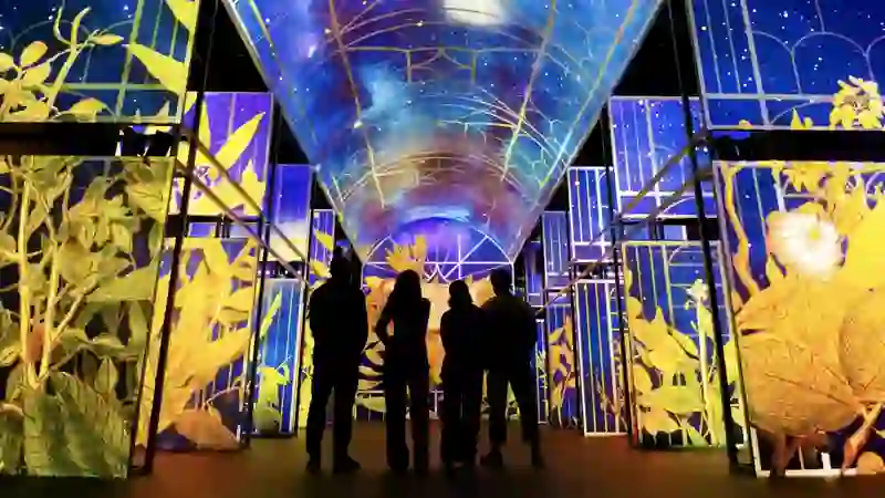 Silhouetted visitors inside the Book of Kells Experience, surrounded by colourful illuminated botanical projections.